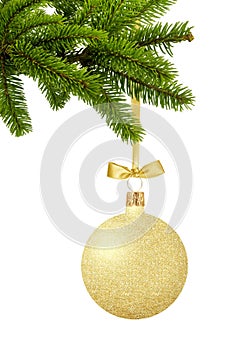 Gold Christmas ball with bow on ribbon on green tree branch isolated on white background