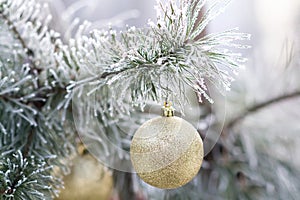 Gold Christmas ball on a snow-covered tree branch