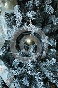 Gold christmas balls on a tree photo