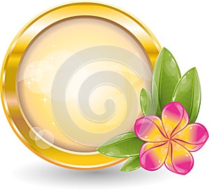 Gold circle frame with pink frangipani flower