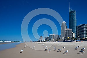 Gold Coast beach photo