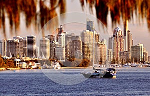 Gold Coast Skyline