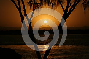 Gold Coast Sunset with palm tree