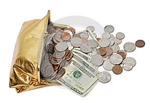 Gold Coin Bag Cash Flowing