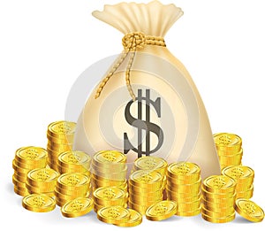 gold coin with bag of money