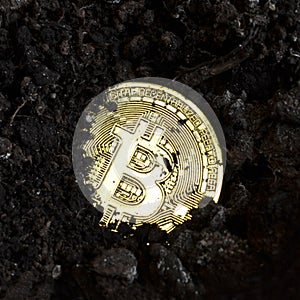 Gold coin bitcoin buried in the ground