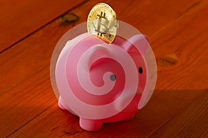 Gold coin of cryptocurrency Bitcoin in pink piggy bank in the rays of the rising sun