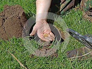 Gold Coin Found with Metal Detector