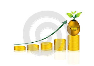 Gold coin and golden egg; saving and growth