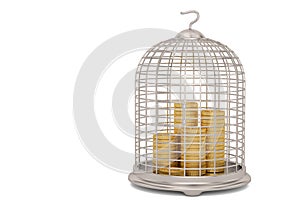 Gold coin stacks with bird cage isolated on white background 3D illustration