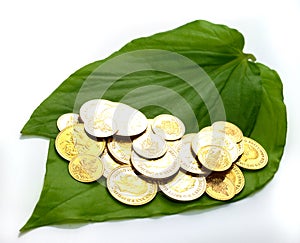 Gold coins on a betel leaf