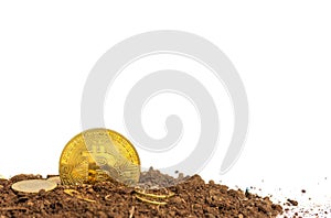 Gold coins or bitcoin on soil Virtual money on a brown background Future investment concept