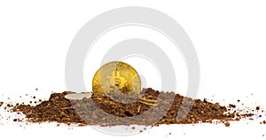 Gold coins or bitcoin on soil Virtual money on a brown background Future investment concept