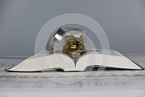 Gold coins on book. Finance and education concept