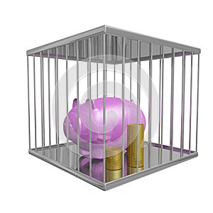 Gold Coins and Piggy Bank in a Cage