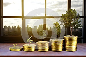 Gold coins pile stack and growing money and grow trees that grow up on city background, Saving money and ecology concept