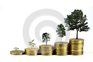 Gold coins pile stack and growing money and grow trees that grow up on white background, Saving money and ecology concept