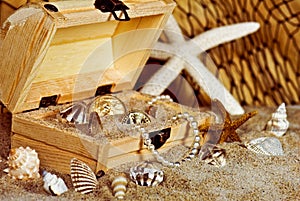 gold coins and seashells in wooden treasure chest