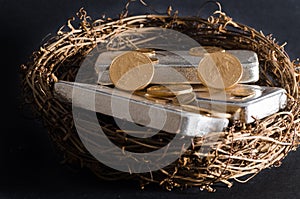 Gold Coins & Silver Bar Nest Egg