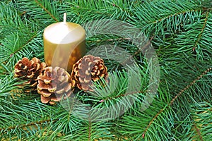 Gold colored candle and pines cones on green coniferous branches