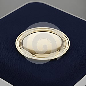 The circular object has a polished, reflective surface and is bordered by