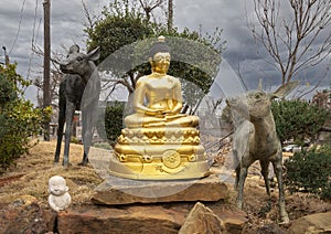 Gold colored statue of a Nyorai Buddha surrounded by deer at the Buddhist Center of Dallas, Texas.