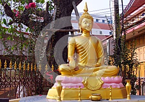 Gold colour Buddha statue in Buddhist temple
