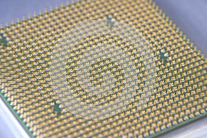 Gold contacts on Computer CPU Chip