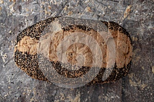 Gold corn bread loaf on the wooden table