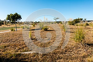 Gold course with trees and pathways under a clear blue sky in Spain