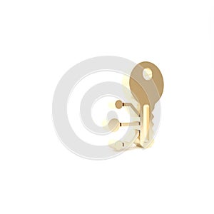 Gold Cryptocurrency key icon isolated on white background. Concept of cyber security or private key, digital key with