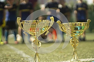 Gold cup. Award for team. Sports Cup