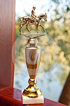 Gold cup with a rider, awarded to the winner of the race