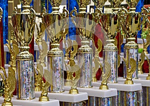 Gold Cup Trophies