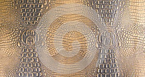 Gold/Dark Brown Colored Embossed Gator Leather Texture