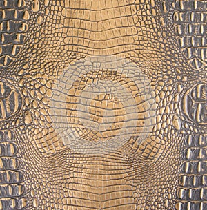 Gold/Dark Brown Embossed Gator Belly Leather Texture