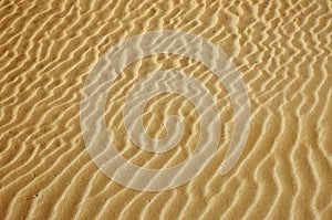 Gold desert Sand texture