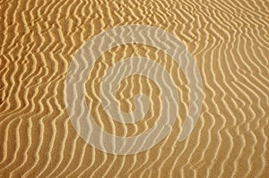 Gold desert Sand texture