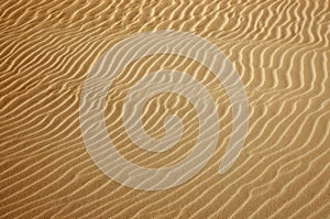 Gold desert Sand texture