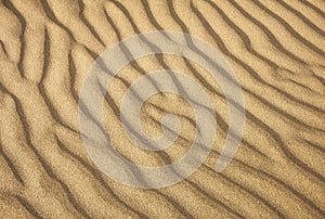 Gold desert Sand texture.