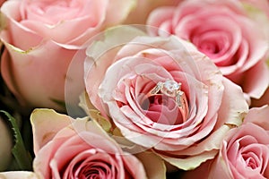 Gold diamond engagement ring in beautiful pink rose flower among big amount of roses in big bouquet close up
