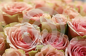 Gold diamond engagement ring in beautiful pink rose flower among big amount of roses in big bouquet close up