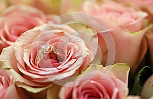 Gold diamond engagement ring in beautiful pink rose flower among big amount of roses in big bouquet close up