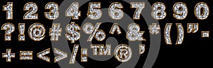 Gold and diamond numerals and punctuation photo