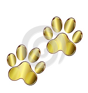 Gold dog paws