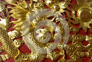 Gold dragon