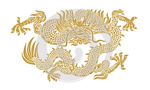 Gold dragon photo