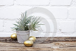 Gold Easter eggs and ceramic grey bucket with spring green grass on wooden table near white brick wall background. Copy space