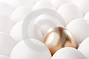 Gold egg