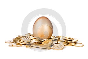 Gold egg in golden coins